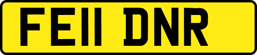 FE11DNR