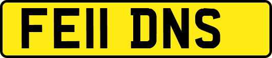 FE11DNS