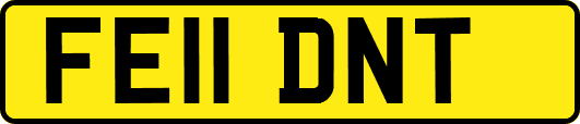 FE11DNT