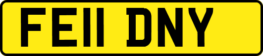 FE11DNY