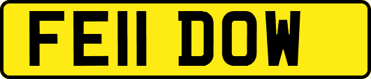 FE11DOW