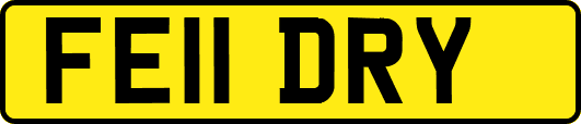 FE11DRY