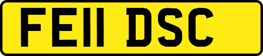 FE11DSC