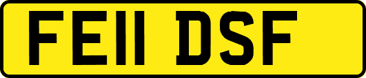 FE11DSF