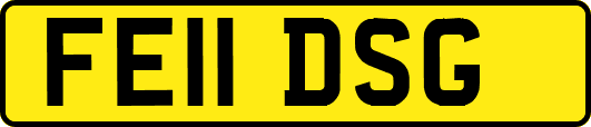 FE11DSG