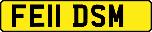FE11DSM
