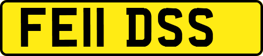 FE11DSS