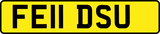 FE11DSU