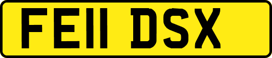 FE11DSX