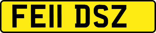 FE11DSZ