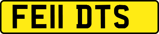 FE11DTS