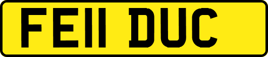 FE11DUC
