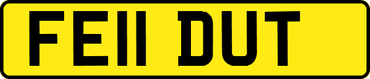 FE11DUT