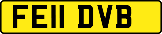 FE11DVB
