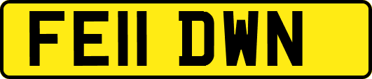 FE11DWN