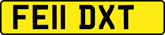 FE11DXT