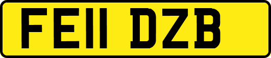 FE11DZB
