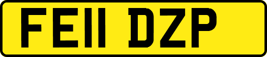 FE11DZP