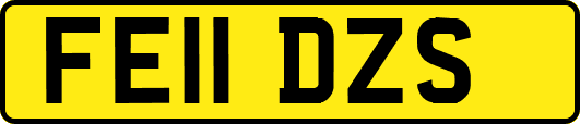 FE11DZS