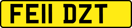 FE11DZT