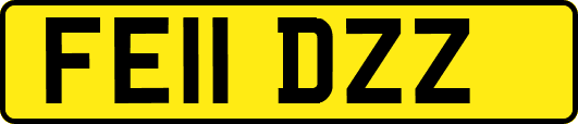 FE11DZZ