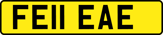 FE11EAE