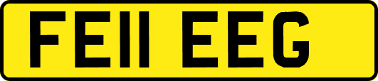 FE11EEG