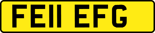 FE11EFG