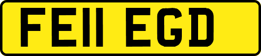 FE11EGD