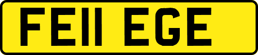 FE11EGE