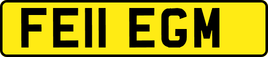 FE11EGM
