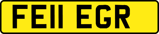 FE11EGR