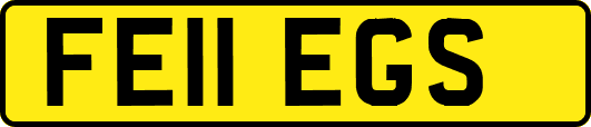 FE11EGS