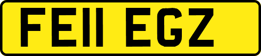 FE11EGZ