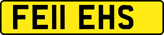FE11EHS