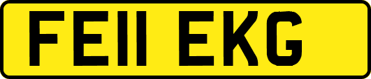 FE11EKG