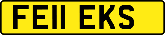 FE11EKS