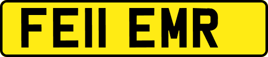 FE11EMR