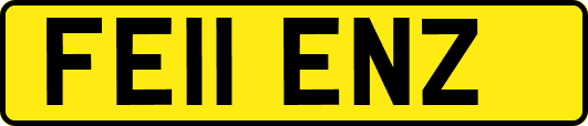 FE11ENZ