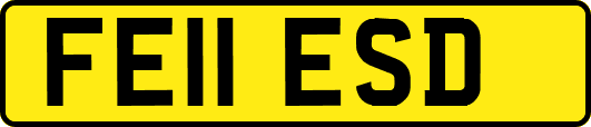 FE11ESD