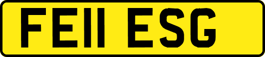 FE11ESG