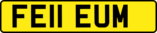 FE11EUM