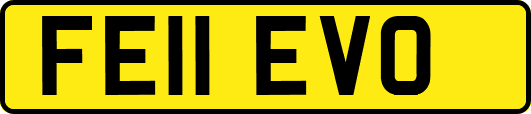 FE11EVO