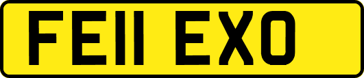 FE11EXO