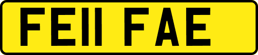 FE11FAE