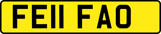 FE11FAO