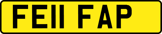 FE11FAP