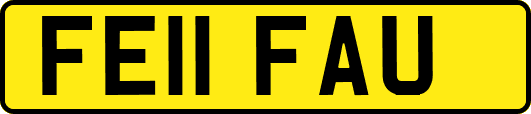 FE11FAU