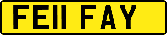FE11FAY