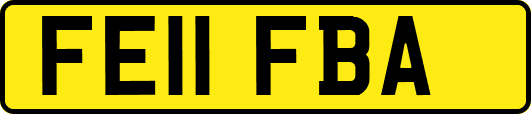 FE11FBA